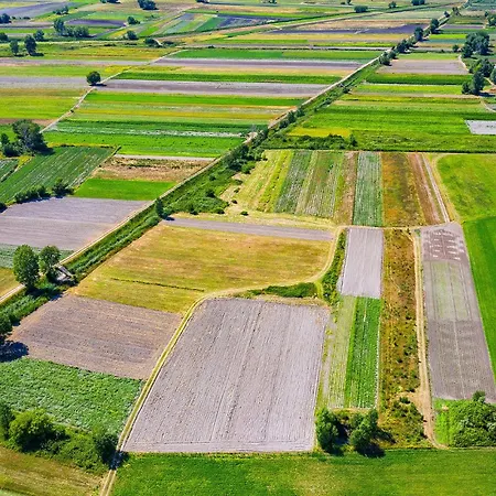 Tatil Evi Beautiful In With Sauna *